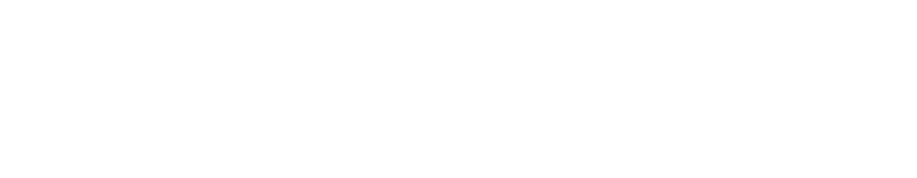 Videntium Logo